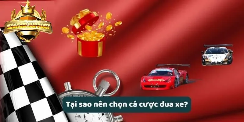 Tại sao nên chọn cá cược đua xe nhatvip