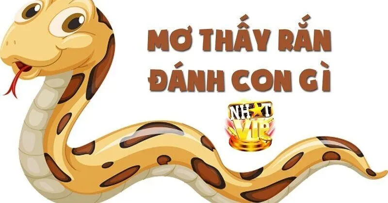 Giải mã con số may mắn khi Mơ Gặp Rắn NhatVip